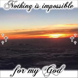 Meet your Posher, Liza